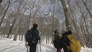 
雪山を愉しむ