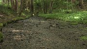 
名水　大石沢清水