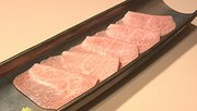 
大同苑