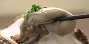 Vol.217 7月7日 恋しき美味の、待つ場所へ…