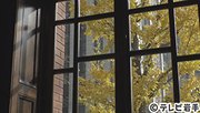 Vol.548 12月26日 ピノキオ流旅のススメ 東京・冬色百景