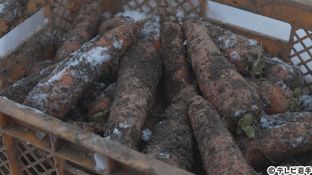 雪下のごちそう