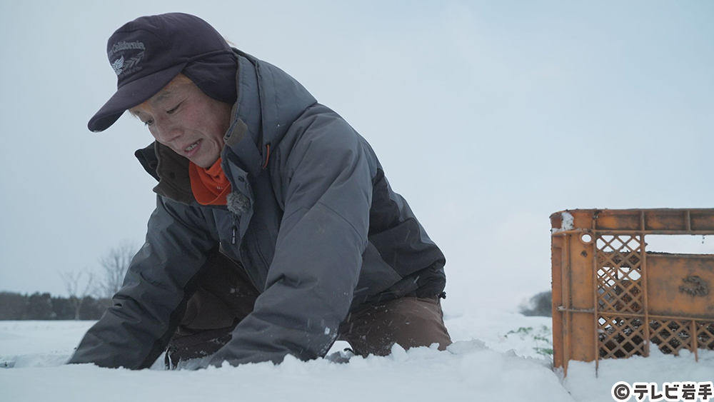 雪下のごちそう