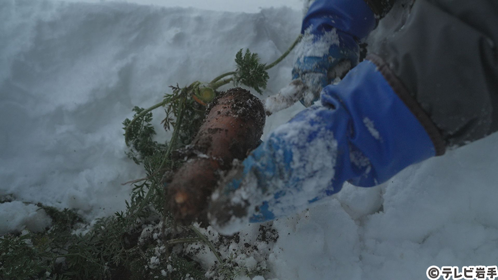 雪下のごちそう
