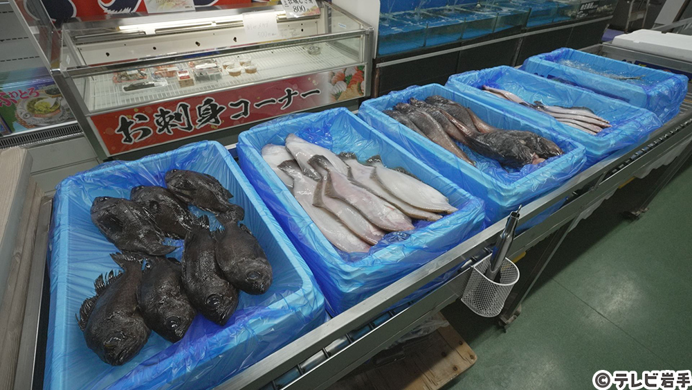 大船渡の地魚を