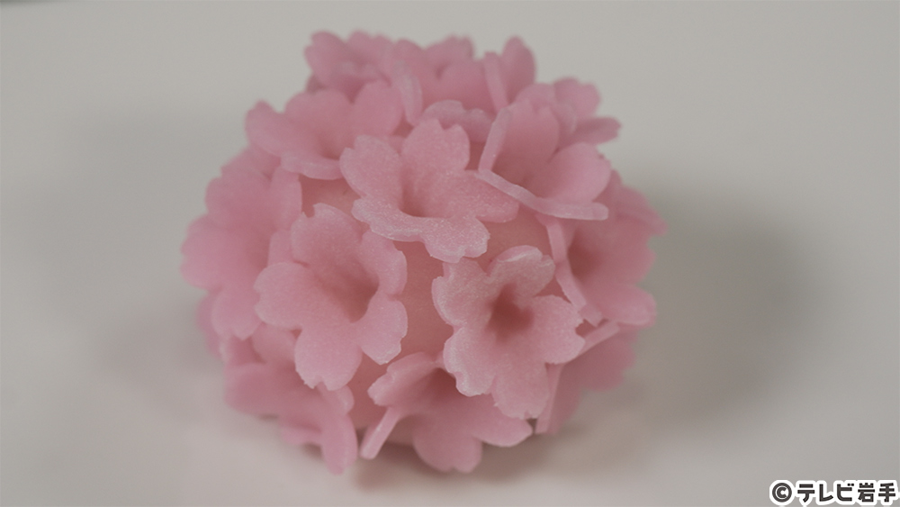 老舗の和菓子店で春らんまん