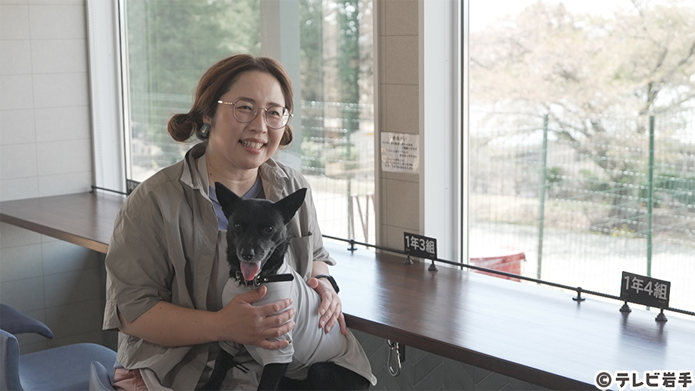 犬が主役のカフェ