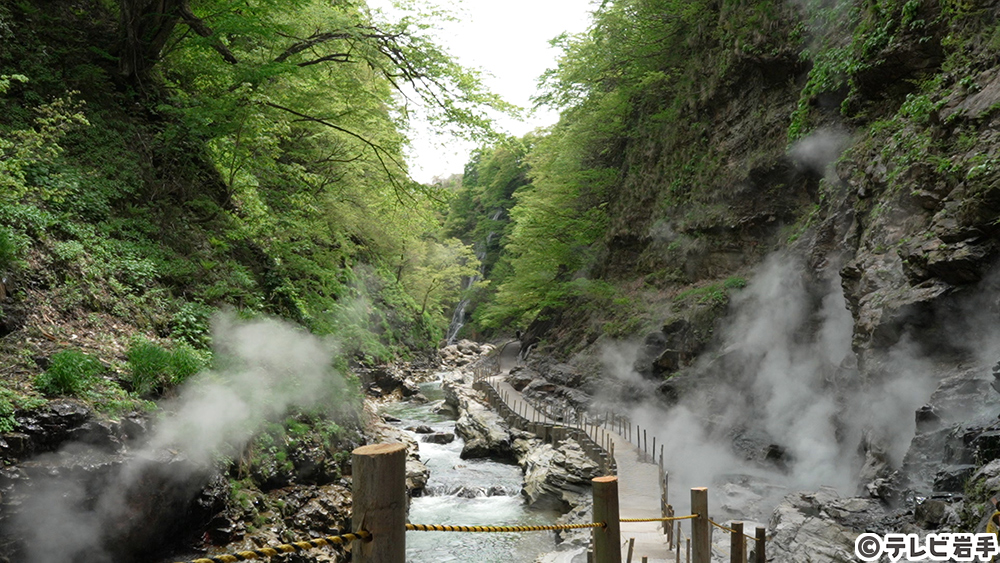 大地の息吹を