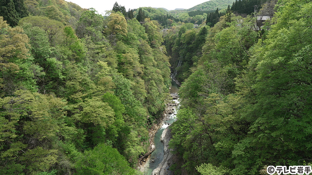 大地の息吹を