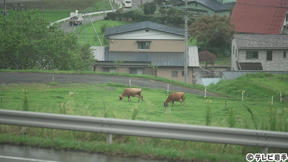 ミルク香る濃厚ソフトクリーム